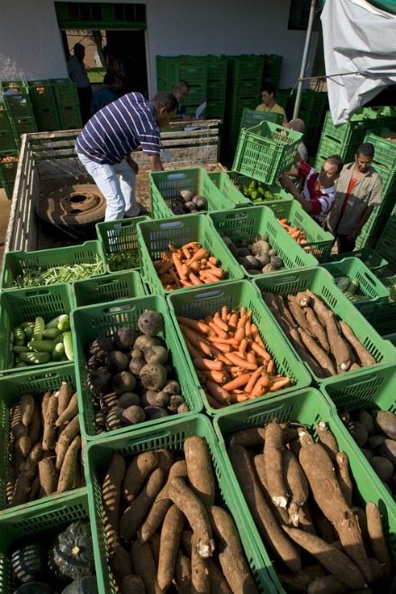 Ampliado Programa de Aquisição de Alimentos