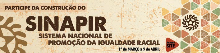 Sociedade pode participar da elaboração de políticas para a igualdade racial
