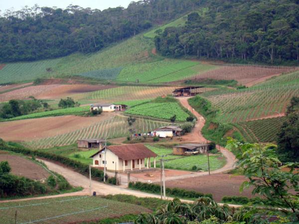 Trabalhadores rurais serão beneficiados por redução de juros em financiamentos