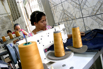 Cooperativas são exemplos de empreendimentos solidários