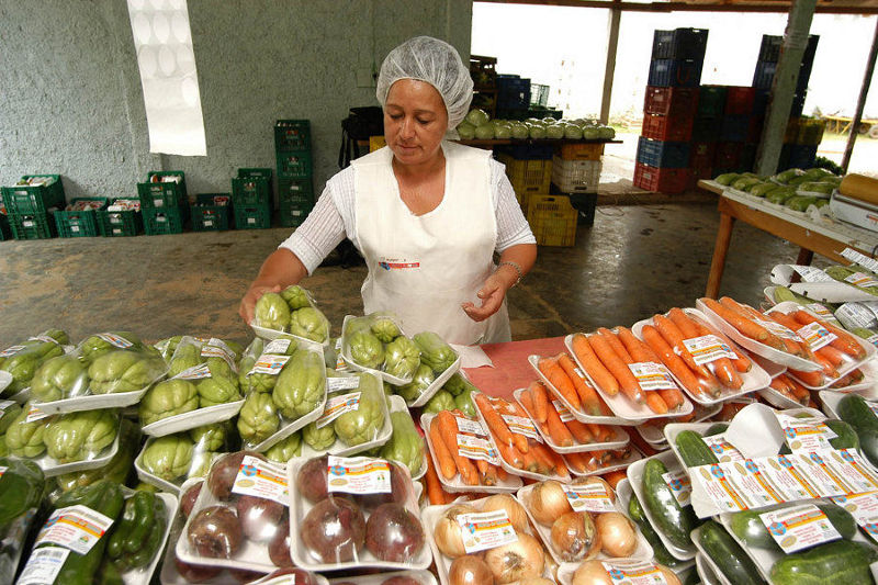 Agricultores familiares organizados terão até R$ 50 mil para projetos de desenvolvimento
