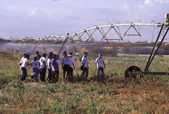 Abertas as inscrições para a 3ª Olimpíada de Agropecuária