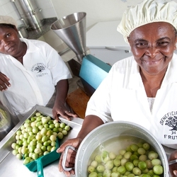 Em 10 anos, Programa de Aquisição de Alimentos recebeu R$ 5 bilhões em investimentos