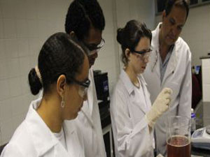 Estudantes criam biodiesel de óleo de cozinha; projeto será levado aos Emirados Árabes