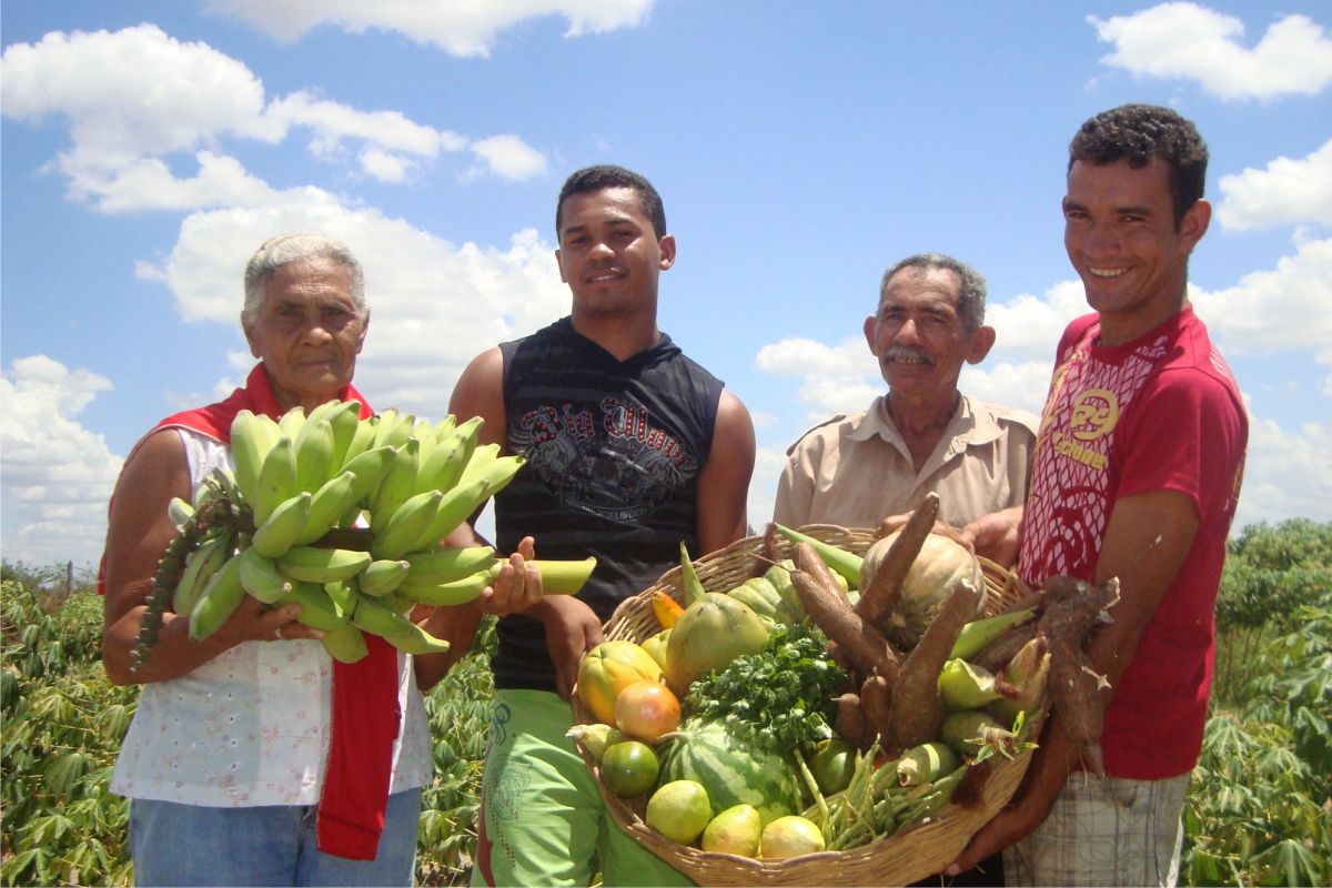 Agricultura familiar terá R$ 13,2 bilhões do Plano Safra do Banco do Brasil para 2013-2014