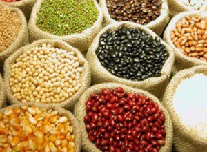 País africano busca experiência da Conab no combate à insegurança alimentar