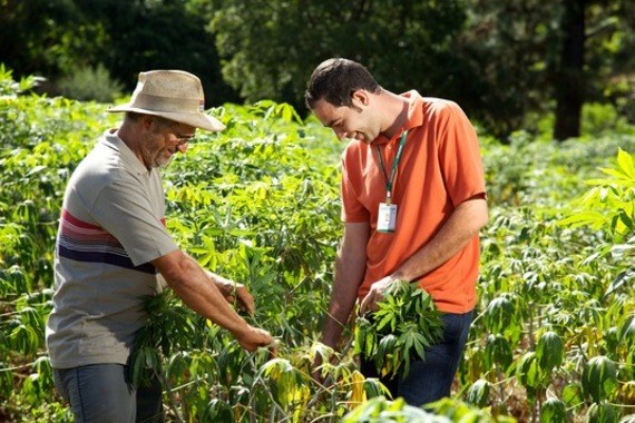 Práticas sustentáveis na agricultura serão selecionadas para publicação