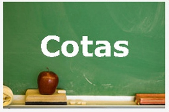 Tire suas dúvidas sobre a Lei de Cotas