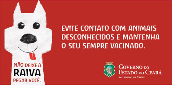 Cães e gatos ainda podem ser vacinados contra a raiva
