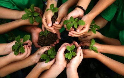 Aberto edital de incentivo a investimentos em sustentabilidade