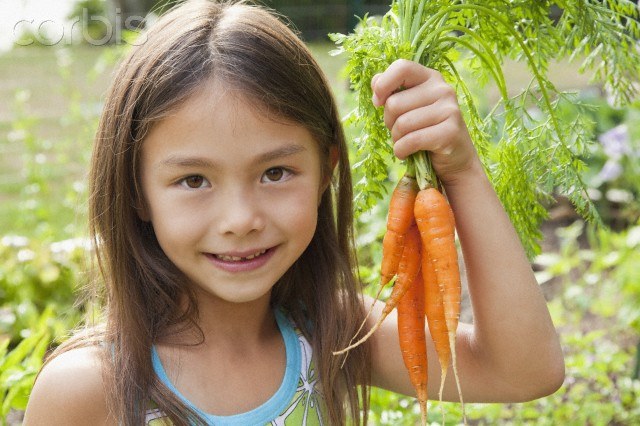 Conheça a importância da Vitamina A para o corpo