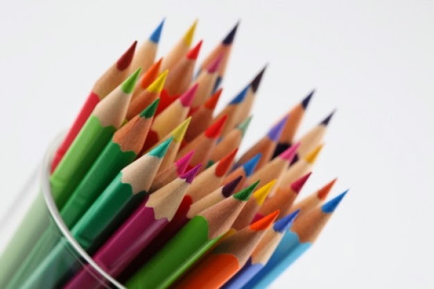 Ministério da Educação divulga resultado do Censo 2013
