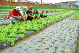 BNB investirá R$ 2,3 bilhões na agricultura familiar