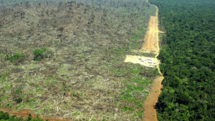 Brasil é exemplo de sucesso na redução do desmatamento, diz relatório