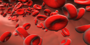 Saiba a importância da prevenção e controle da anemia