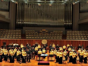 Orquestra Sinfônica chinesa faz apresentação no Parque do Cocó