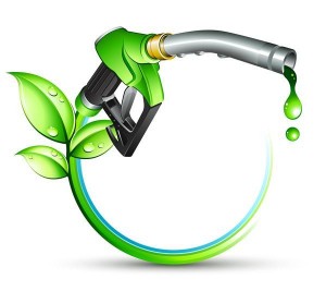 Inácio destaca avanço do Brasil no uso de biocombustíveis